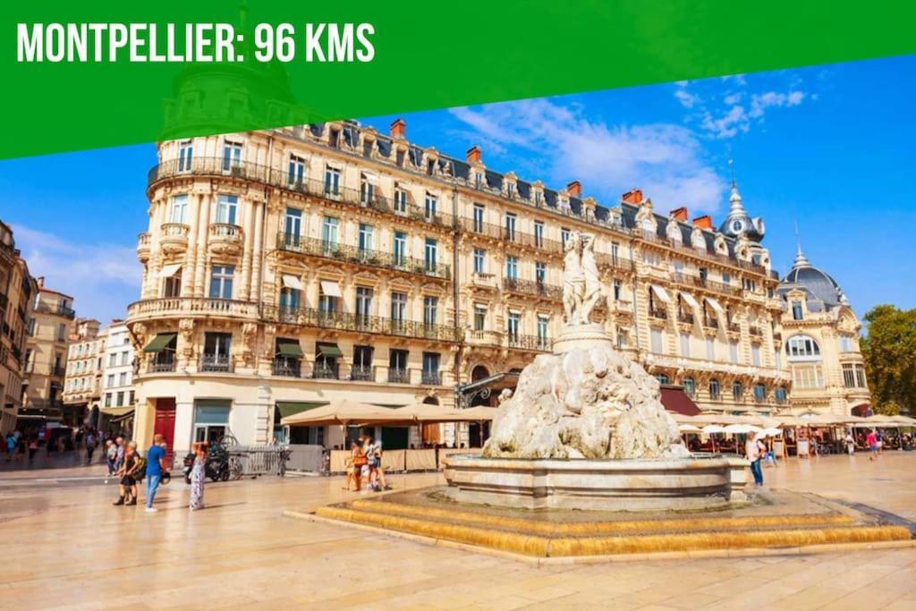 Ferienwohnung Le Figuier - Clim - Wifi Villeneuve-lès-Avignon Exterior foto
